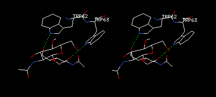 Tutorial For SwissPdbViewer