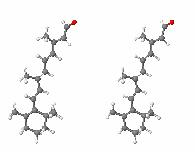 retinal in stereo